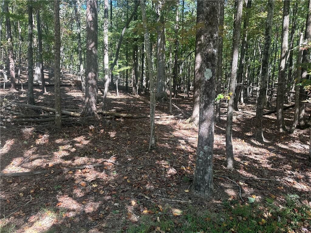 Property Photo: Lt1352 Willow Terrace GA 30143