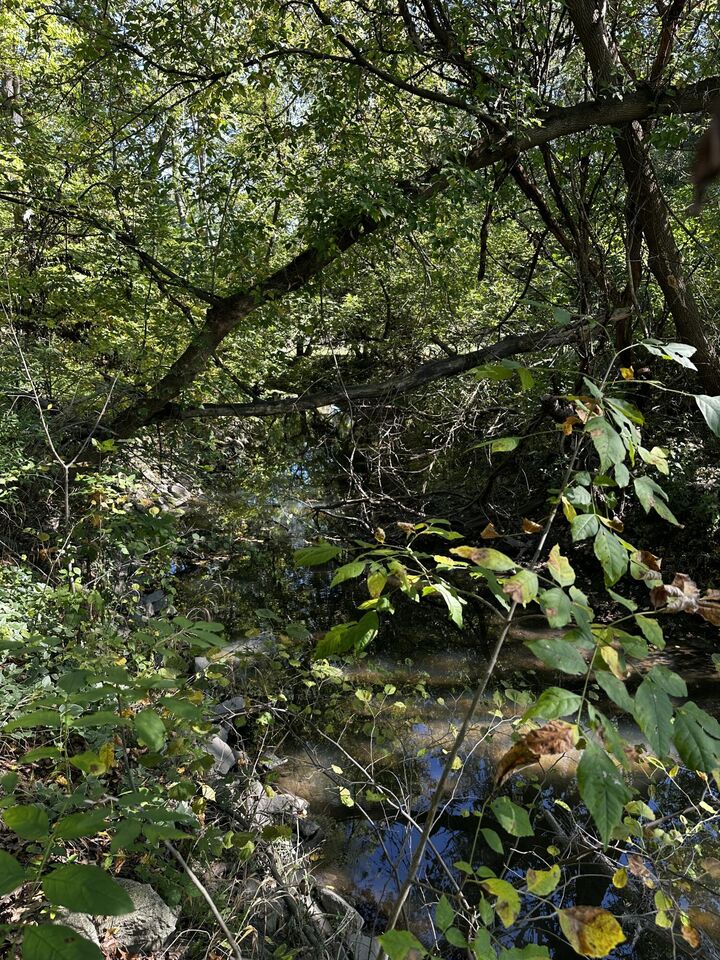 Property Photo:  Lot Evergreen Avenue  IN 46368