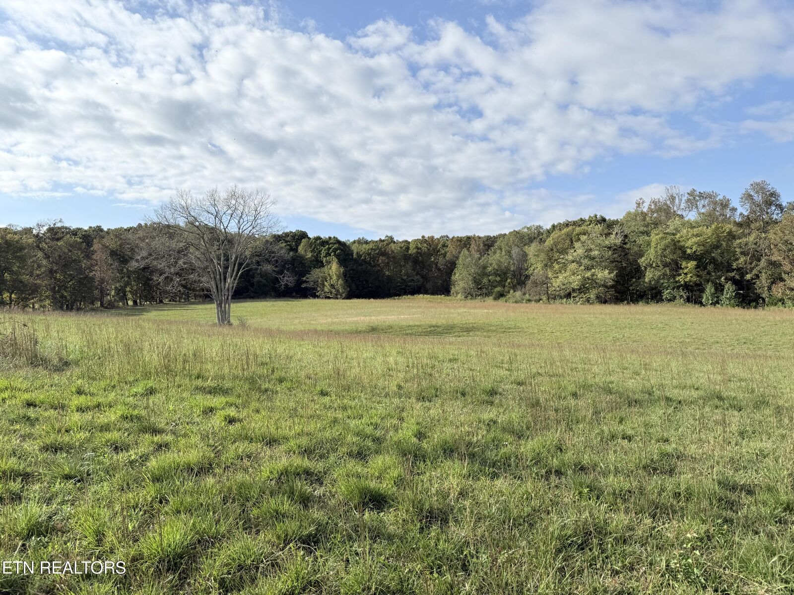 Property Photo: 1140 Paint Rock Valley Rd TN 37846