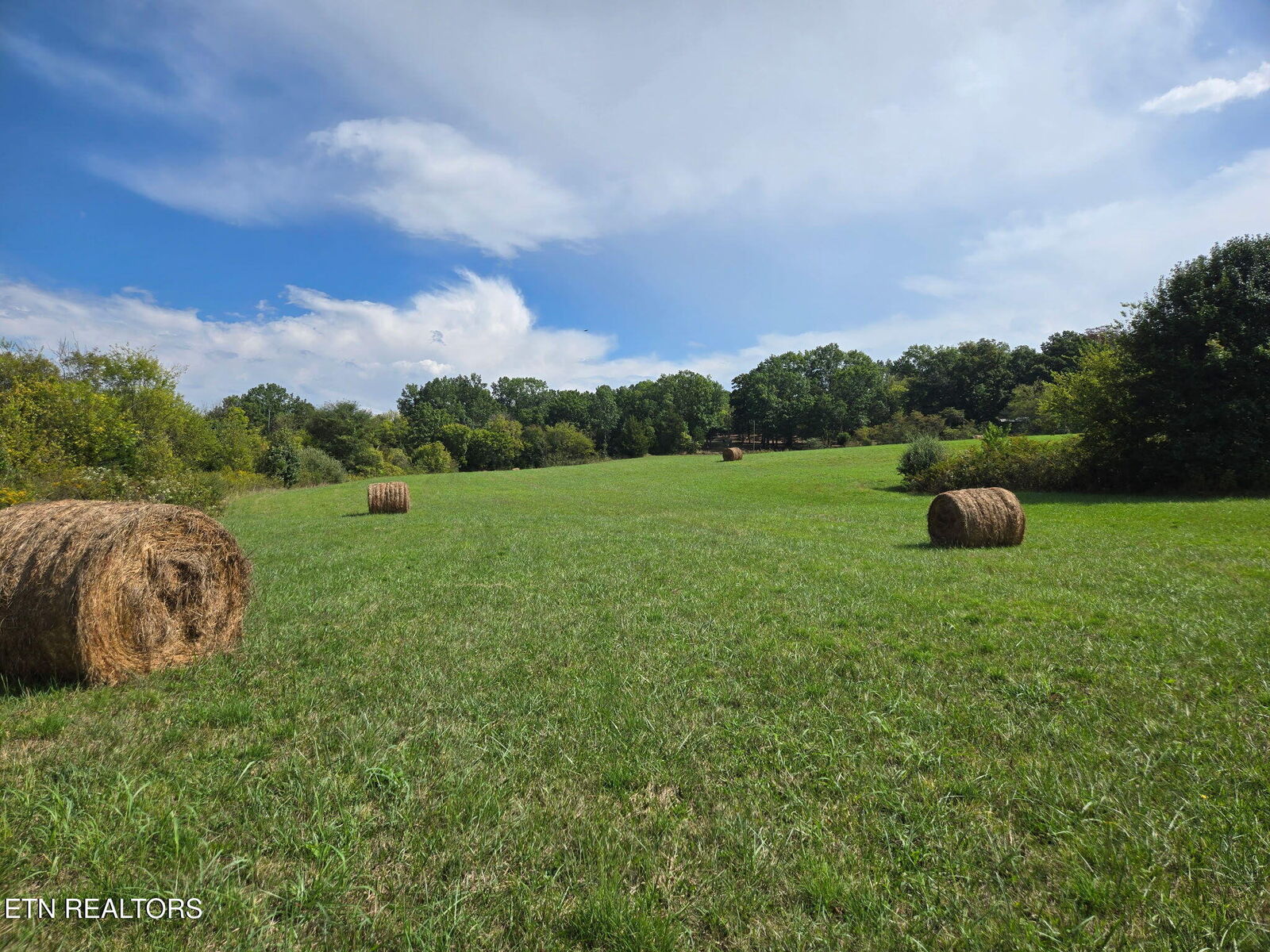 Property Photo: Hiwassee Rd TN 37874