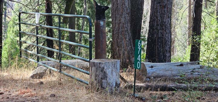 Property Photo: 6740 Spring Valley Road CA 95726