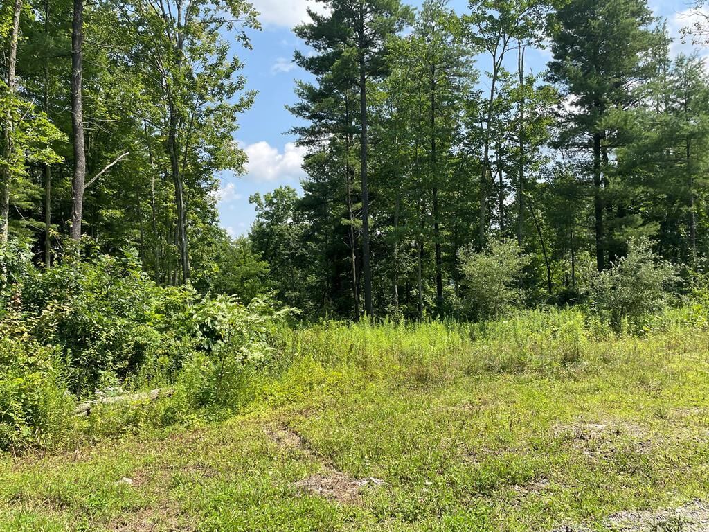 Property Photo: Lot 21A Hemlock Hills Rd PA 18848
