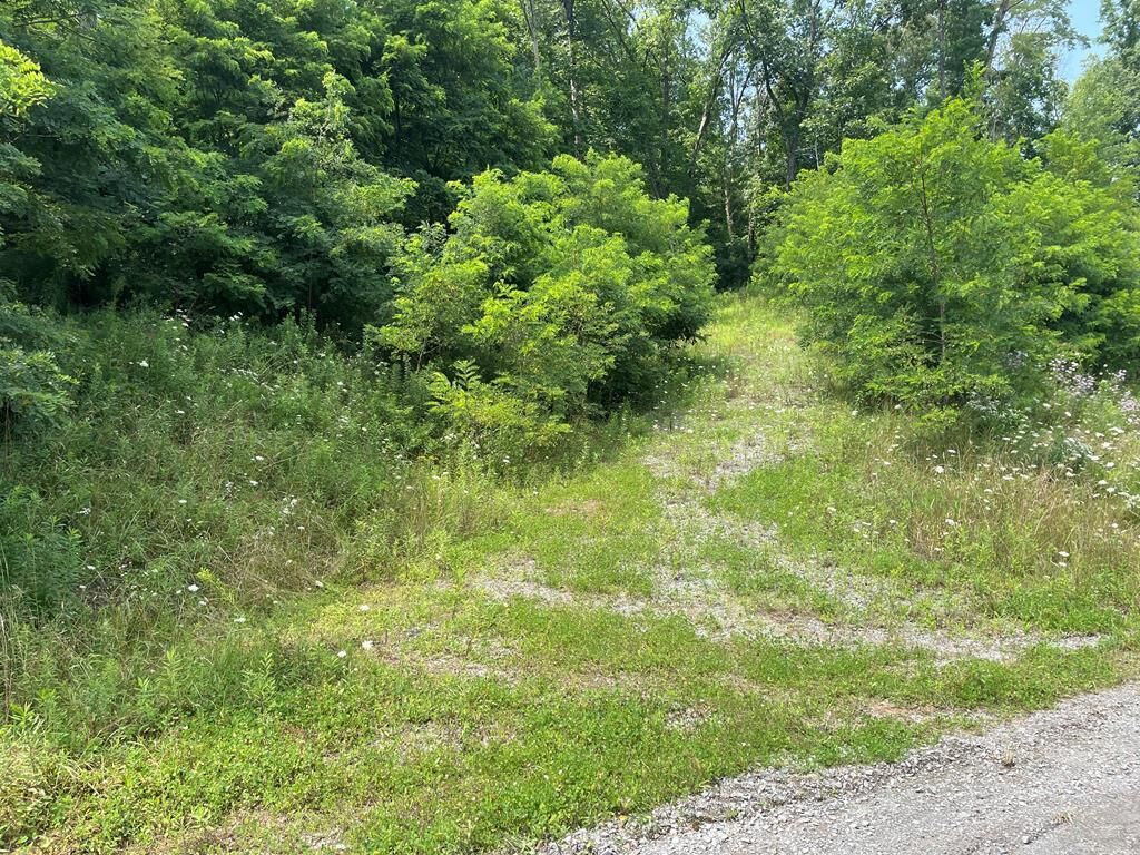 Property Photo: Lot 19A Hemlock Hills Rd PA 18848