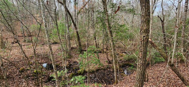 Property Photo: Lot 18 Gray Fox Trail GA 30512