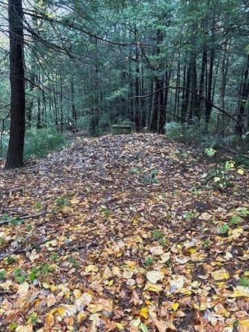 Property Photo:  0 Otis Stage Rd  MA 01008 