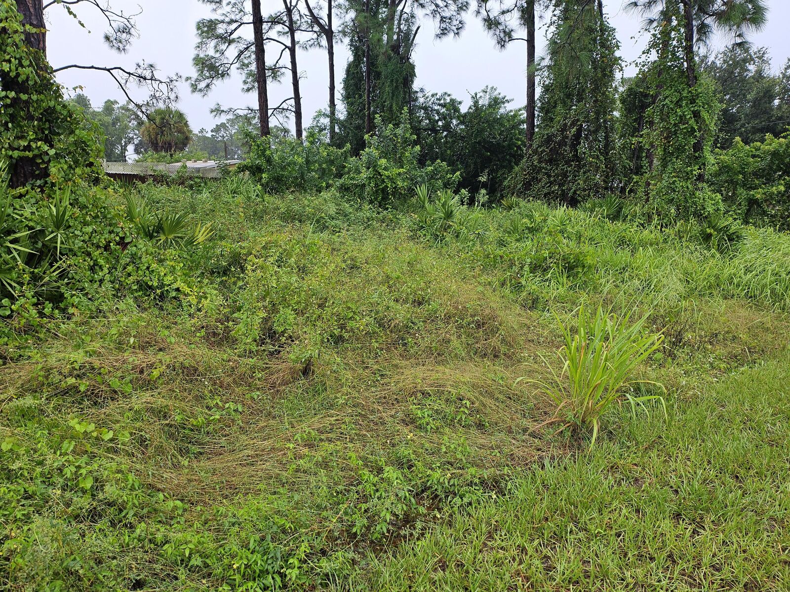 Property Photo: 259 Hilliard Road NW FL 32907