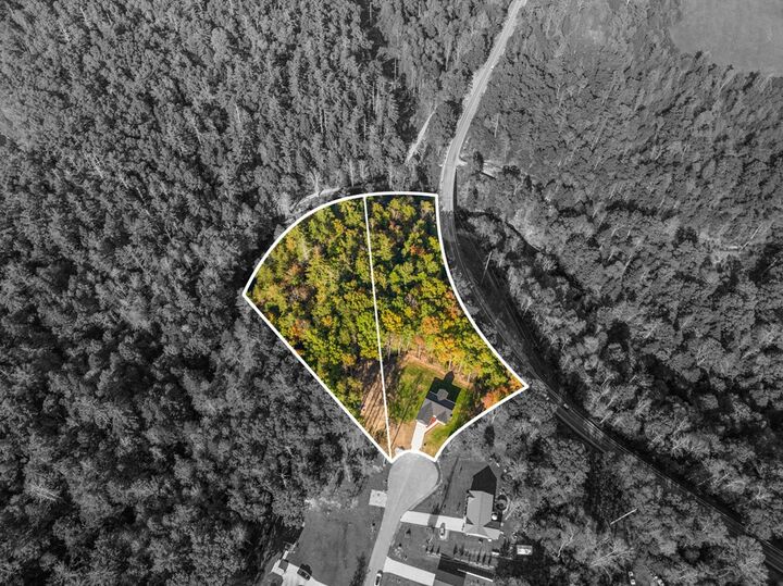 Property Photo: 4.47 Ac 523 Ferry Bend Trail TN 38571