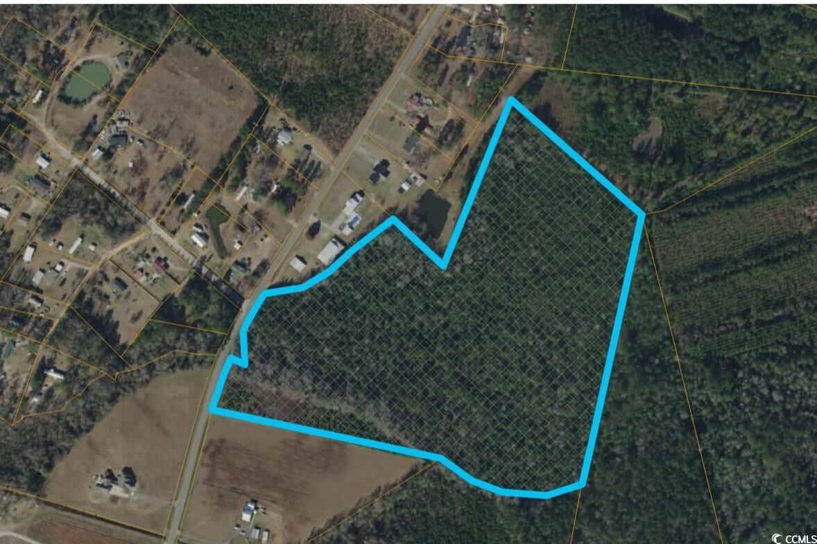 Property Photo:  Tbd Parcel 2 Amber Ln.  SC 29544 