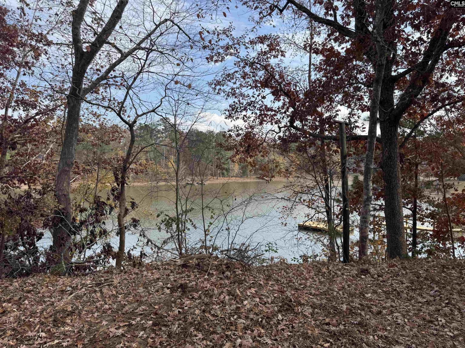 Property Photo:  1403 Westshore  SC 29130 