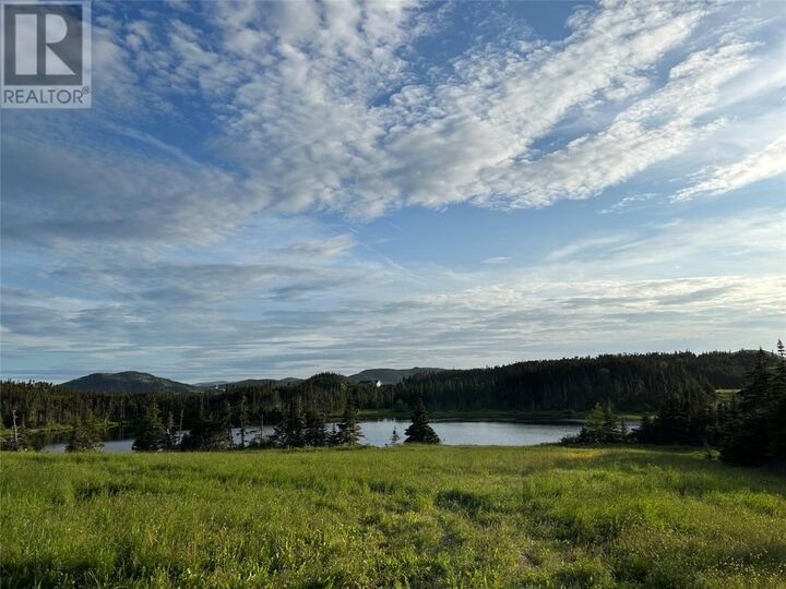Property Photo:  0 Farm Pond Road  NL A0C 0B0 