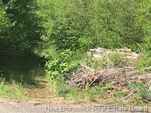 234 Flanagan Road  Fredericton NB E3C 2E8 photo