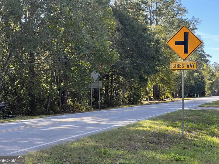 Property Photo: 0 US Highway 17 GA 31565