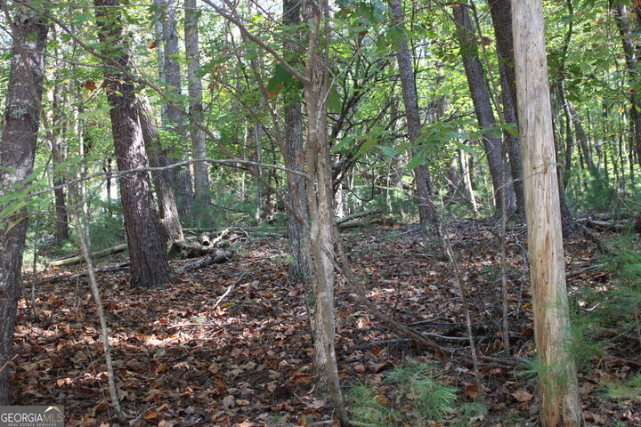 Property Photo: Lot 546 Satsuma North Court GA 30540