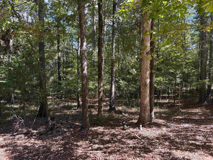 105 Porterfield Drive  Eatonton GA 31024 photo