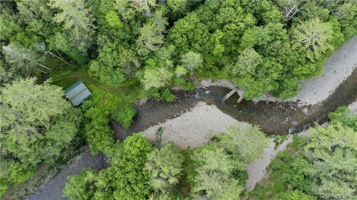 Property Photo: 56 Saw Mill Road NY 12725