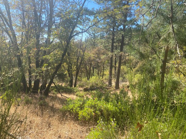 Property Photo: 0 Nature'S Way CA 95736