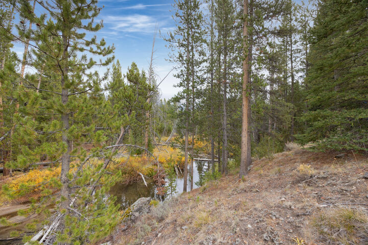 Property Photo: 773 Smiley Creek Rd ID 83340