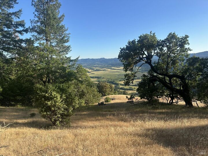 Property Photo: 25996 String Creek Road CA 95490
