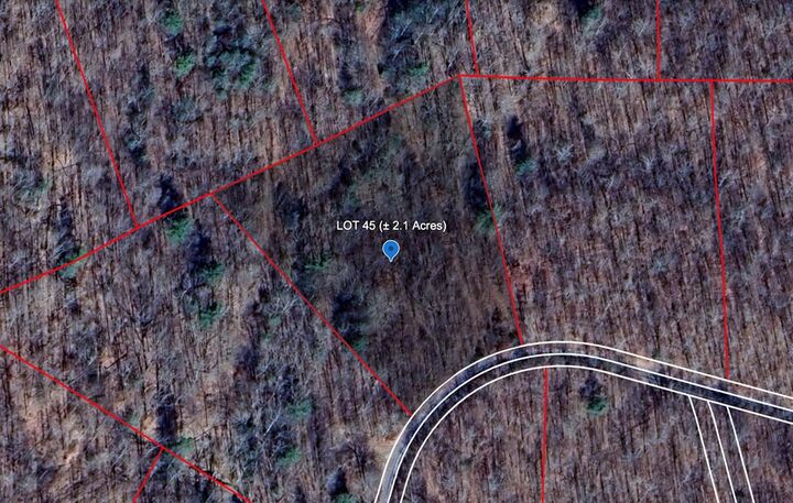 607 Flatwoods Road  Bragg WV 25918 photo