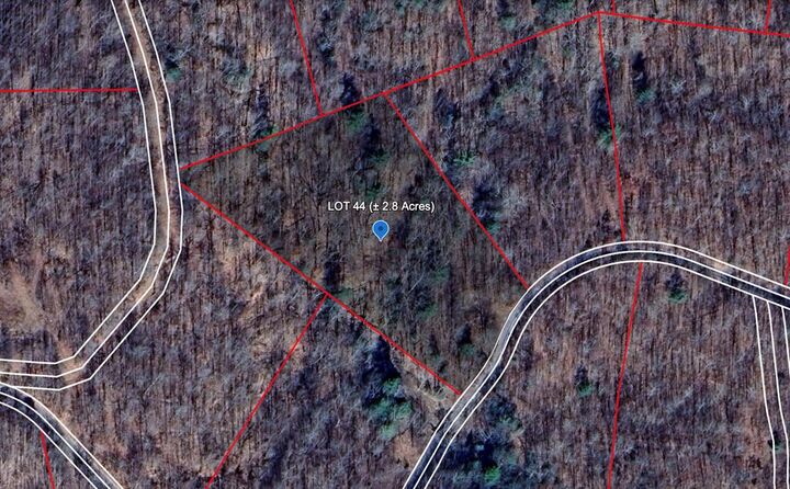 601 Flatwoods Road  Bragg WV 25918 photo