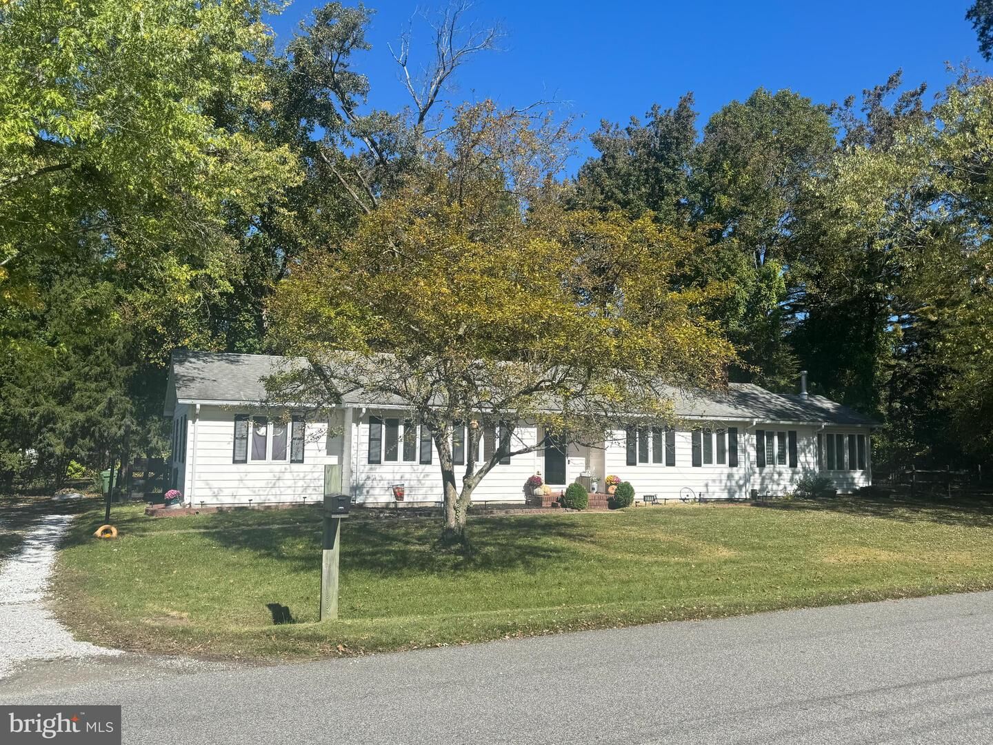 Property Photo:  311 Kerr Avenue  MD 21629 