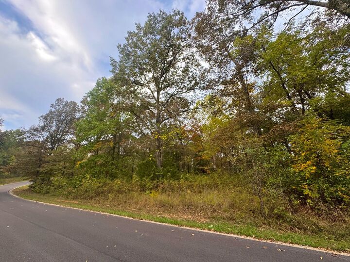 Property Photo: Lot 29 Goodwin Cove Lot 29, Goodwin Cove, Secluded Estates AR 72513