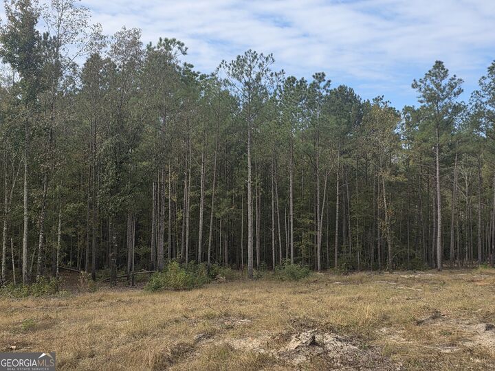 Property Photo:  0 Bastonville Road  GA 30810