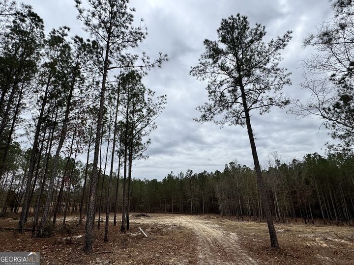 Property Photo: 0 Bastonville Road GA 30810