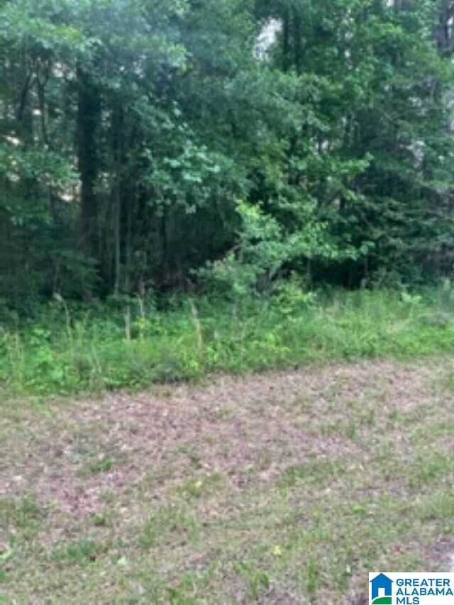 Property Photo: 2006 Peek Drive 4 AL 36203