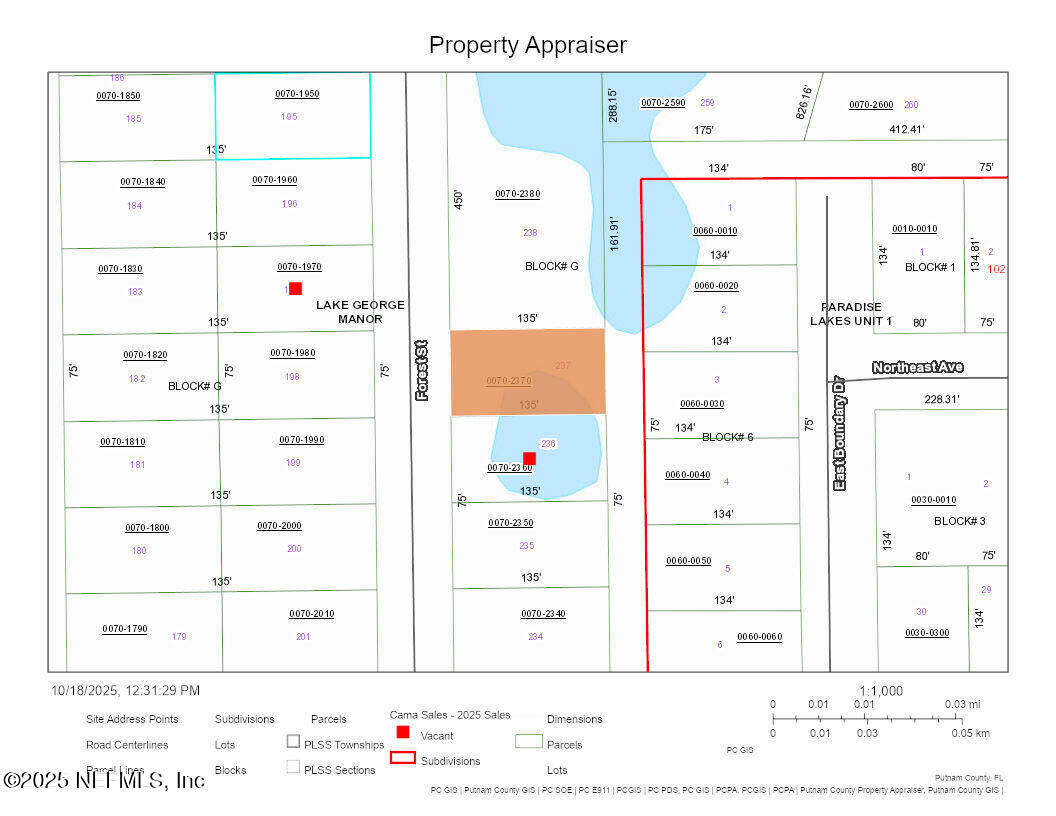 Property Photo: 128 Forest Street FL 32139