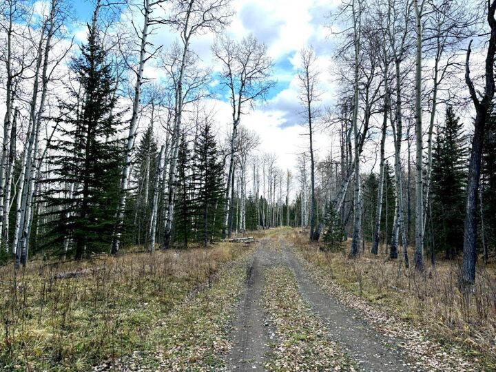 Property Photo: 32521 Range Road 72 AB T0M 1X0