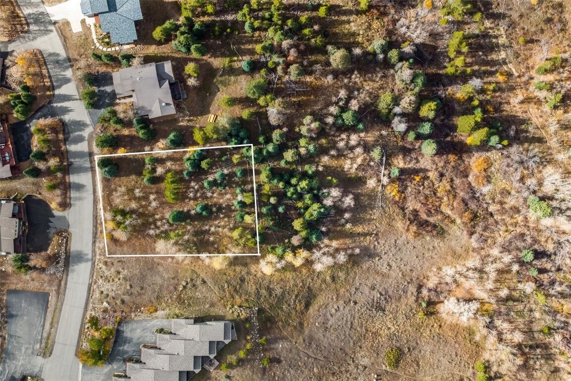 Property Photo:  228 Fawn Court  CO 80498