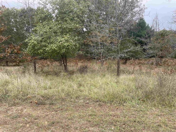 Lot  3 Sandcrest Lane  Princeton WI 54968 photo