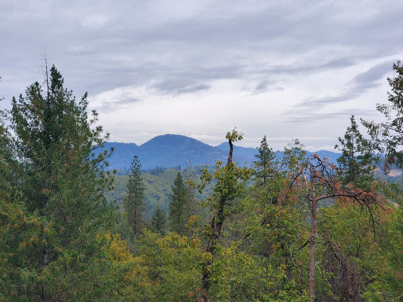 Property Photo: Racoon Dr CA 96051