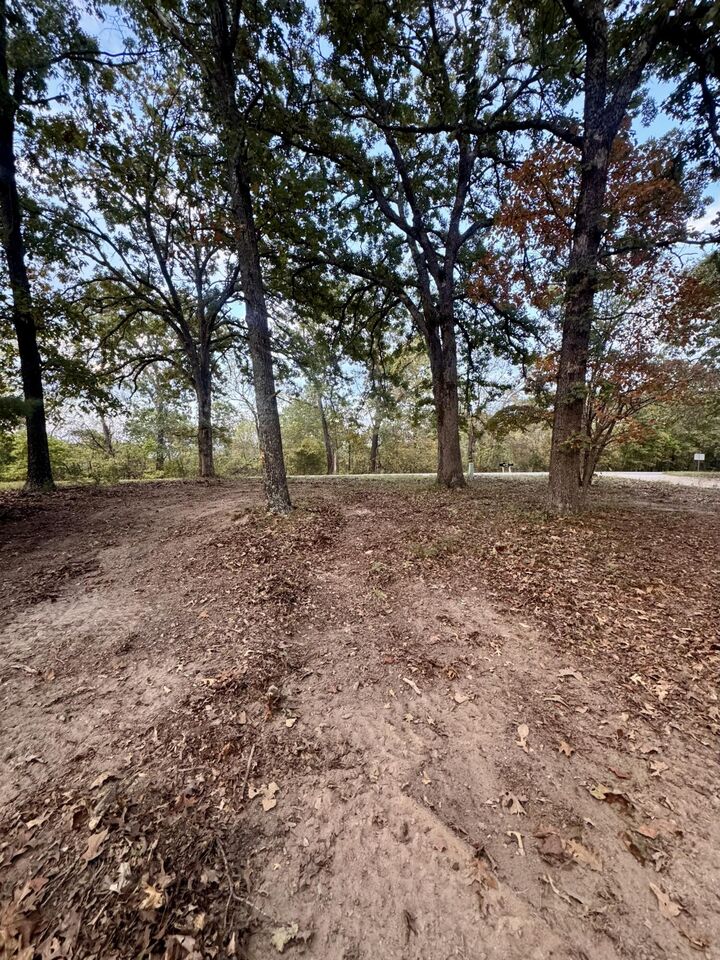 Property Photo:  000 State Highway U  MO 65704 