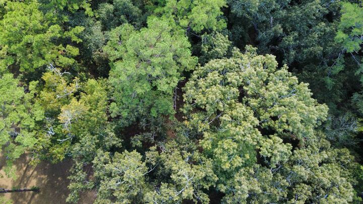 Property Photo:  Dogwood Hill  FL 32308 