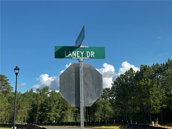 Property Photo:  212 Laney Drive  GA 30117