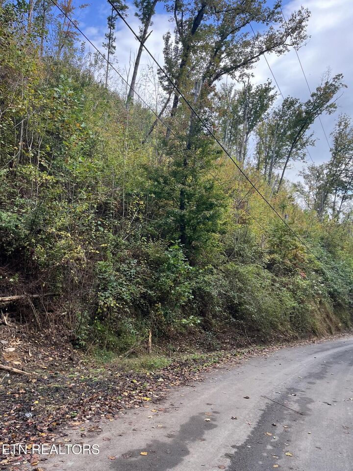 Property Photo:  Lot 527 Deep Hollow Rd  TN 37738 