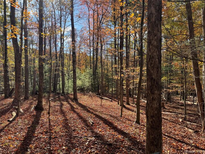 Property Photo:  Tbd Cross Patch Road  NY 12498