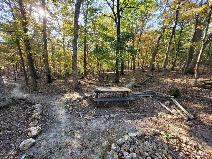 Property Photo: 161 Steeple Point Drive MO 63341