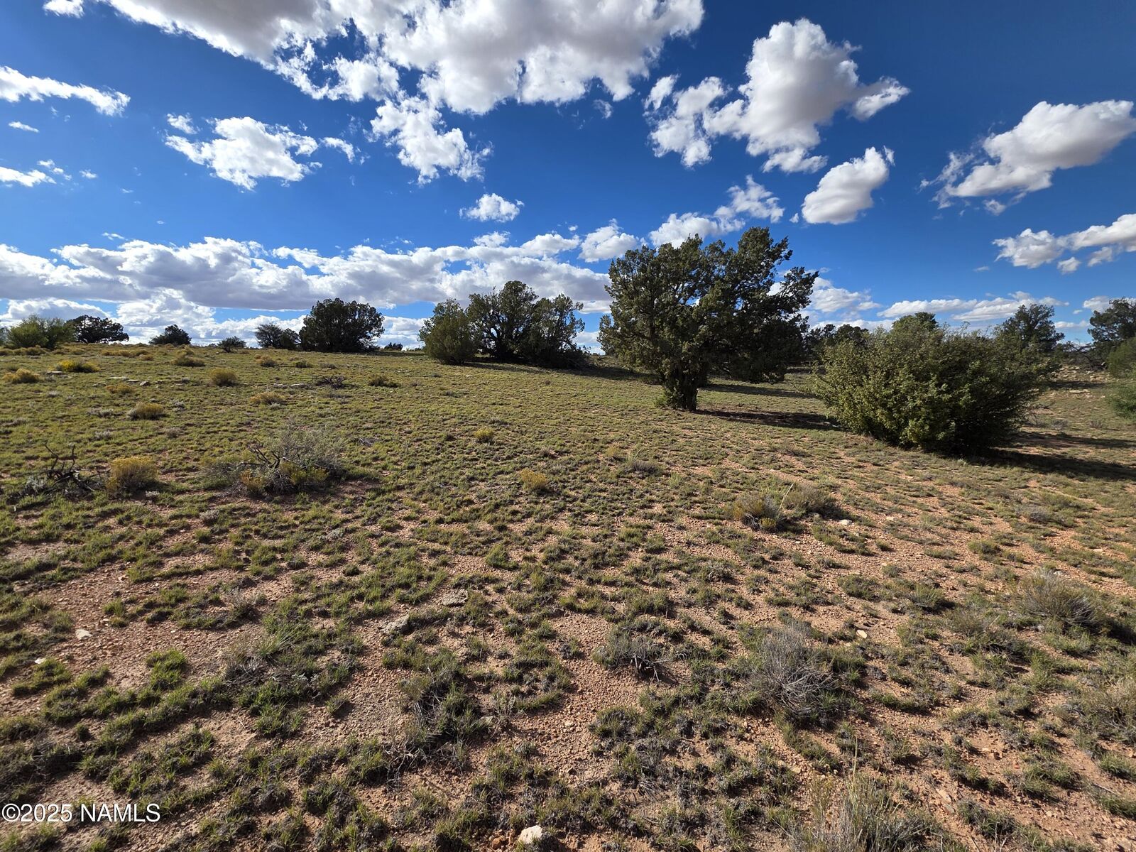 Property Photo:  6154 Fire Sky Trl Lot B  AZ 86046 