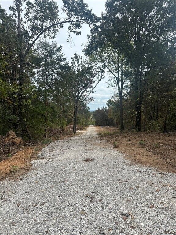 760 County Road 906  Green Forest AR 72638 photo