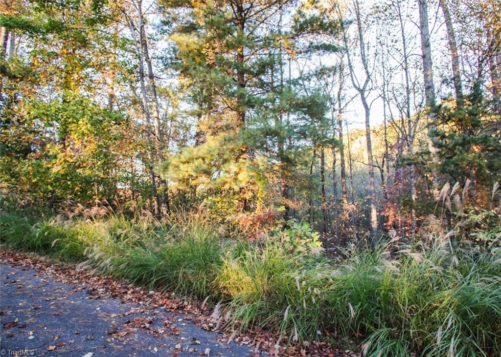 Property Photo: Tbd Lot 17 Chestnut Falls Drive NC 28651
