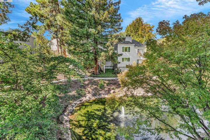 Property Photo: 394 Camelback Rd CA 94523