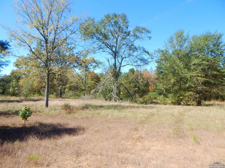 Property Photo: Tbd .5 Acre Hwy 155 TX 75644