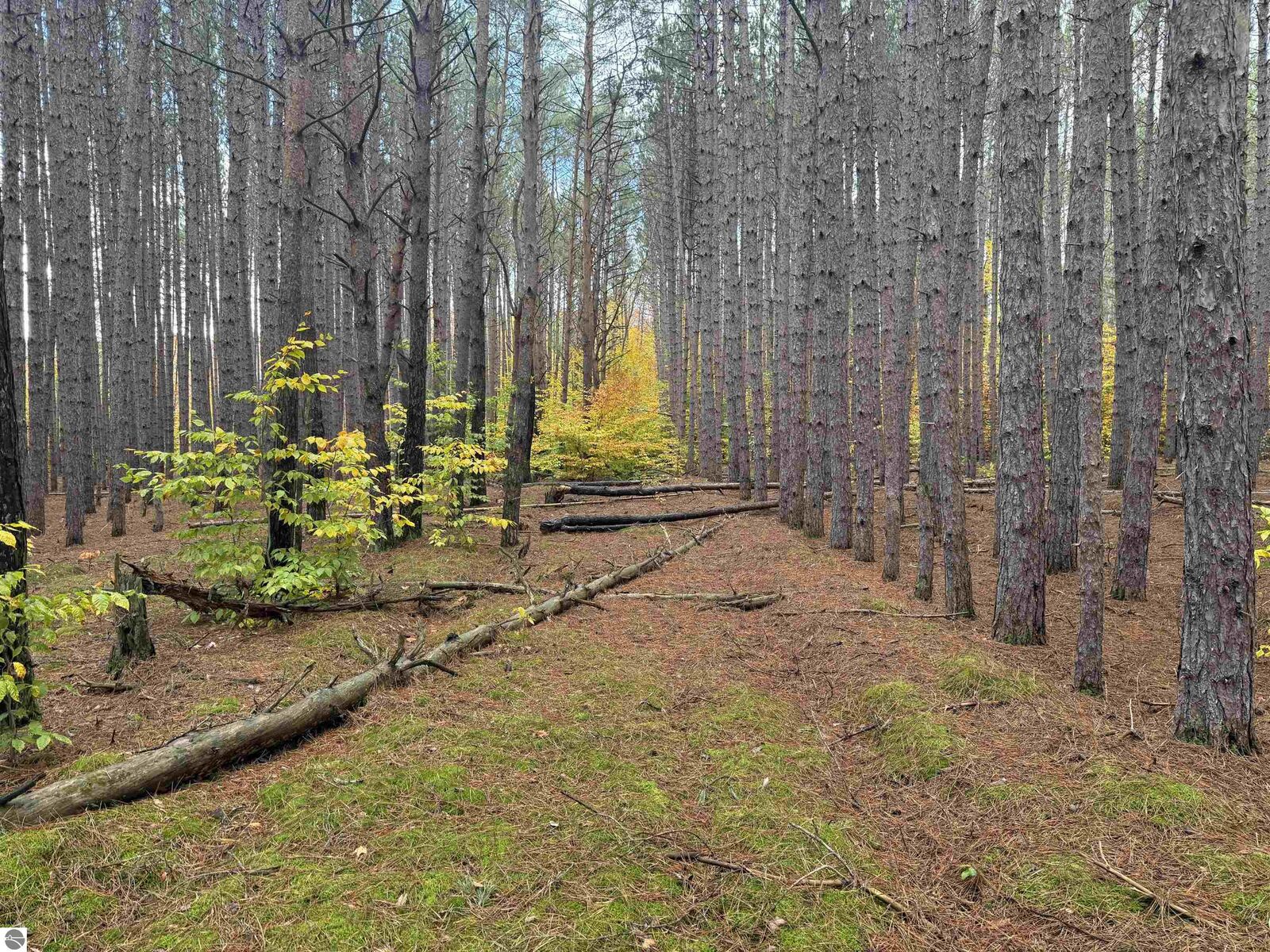 Property Photo:  0 Deer Run Drive  MI 49601 