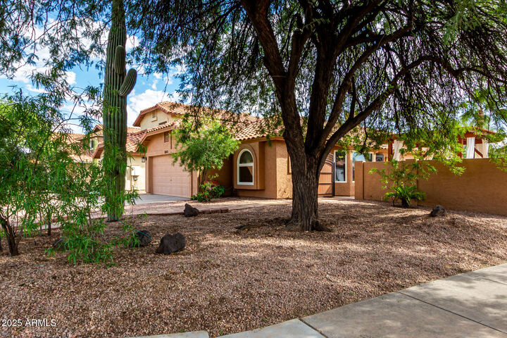 Property Photo:  3801 E Blue Flax Avenue  AZ 85044 