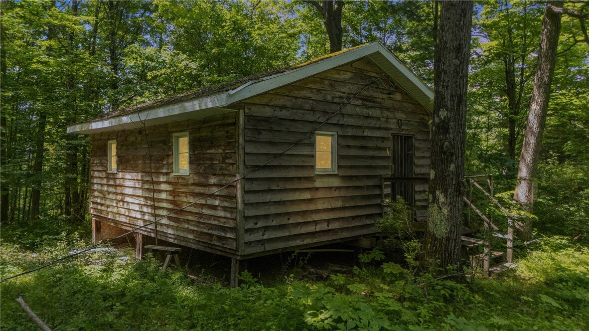 Property Photo:  1910 Brush Road  NY 14843 