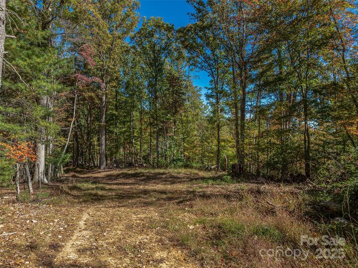 Property Photo:  99999 Meadows Town Road  NC 28753