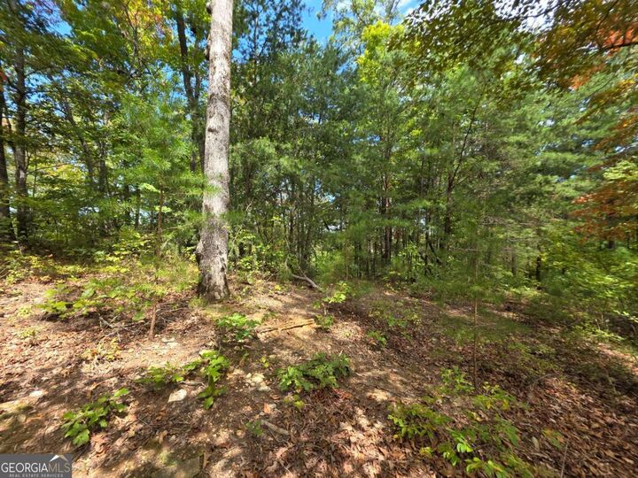 Property Photo:  1077 Harris Creek Drive  GA 30540